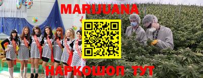 тгк Будённовск