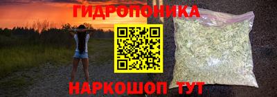 тгк Будённовск